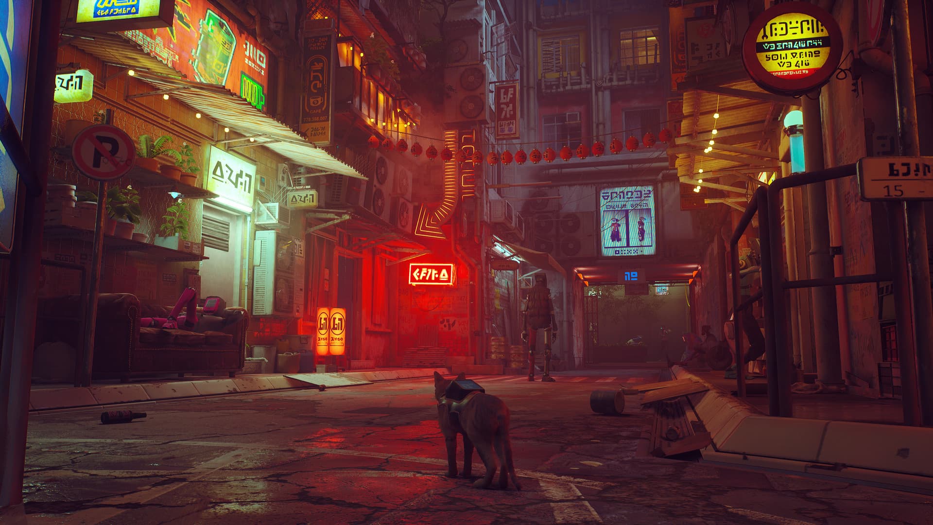 STRAY