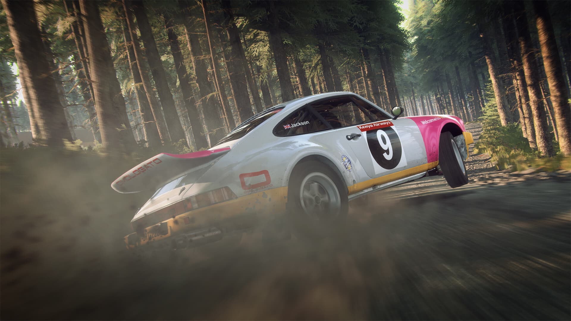 DiRT Rally 2 0