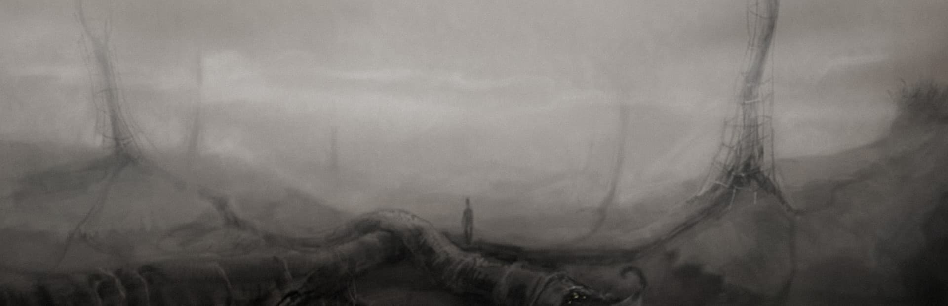 The Void