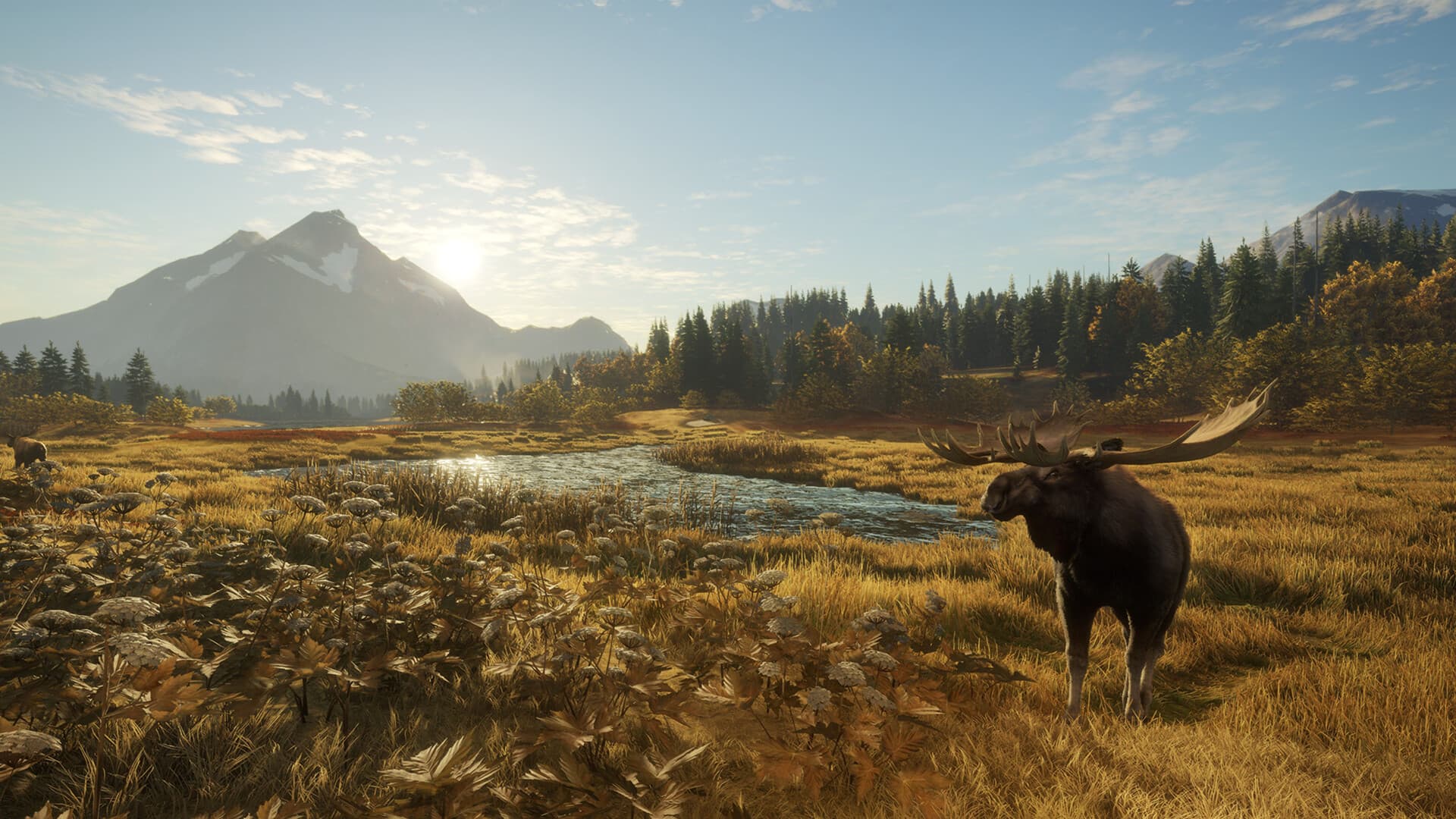 theHunter: Call of the Wild